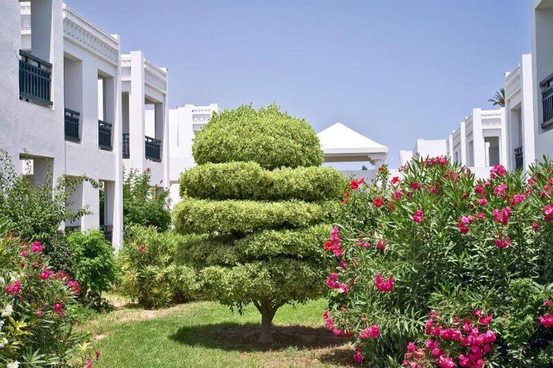 El Borj Hotel Αλ Μαντίγια Εξωτερικό φωτογραφία